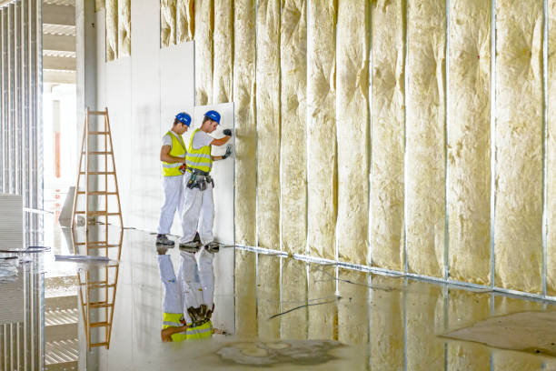 Best Insulation for New Construction  in Camas, WA